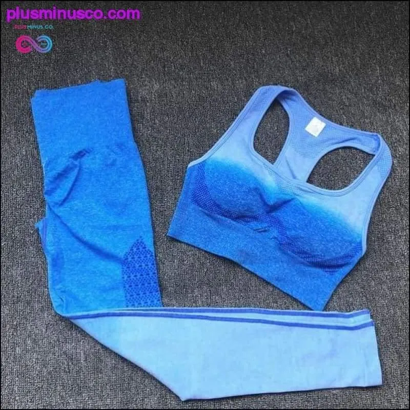 Ombre Seamless Gym Fitness Suit Bra Leggings High Waist Yoga