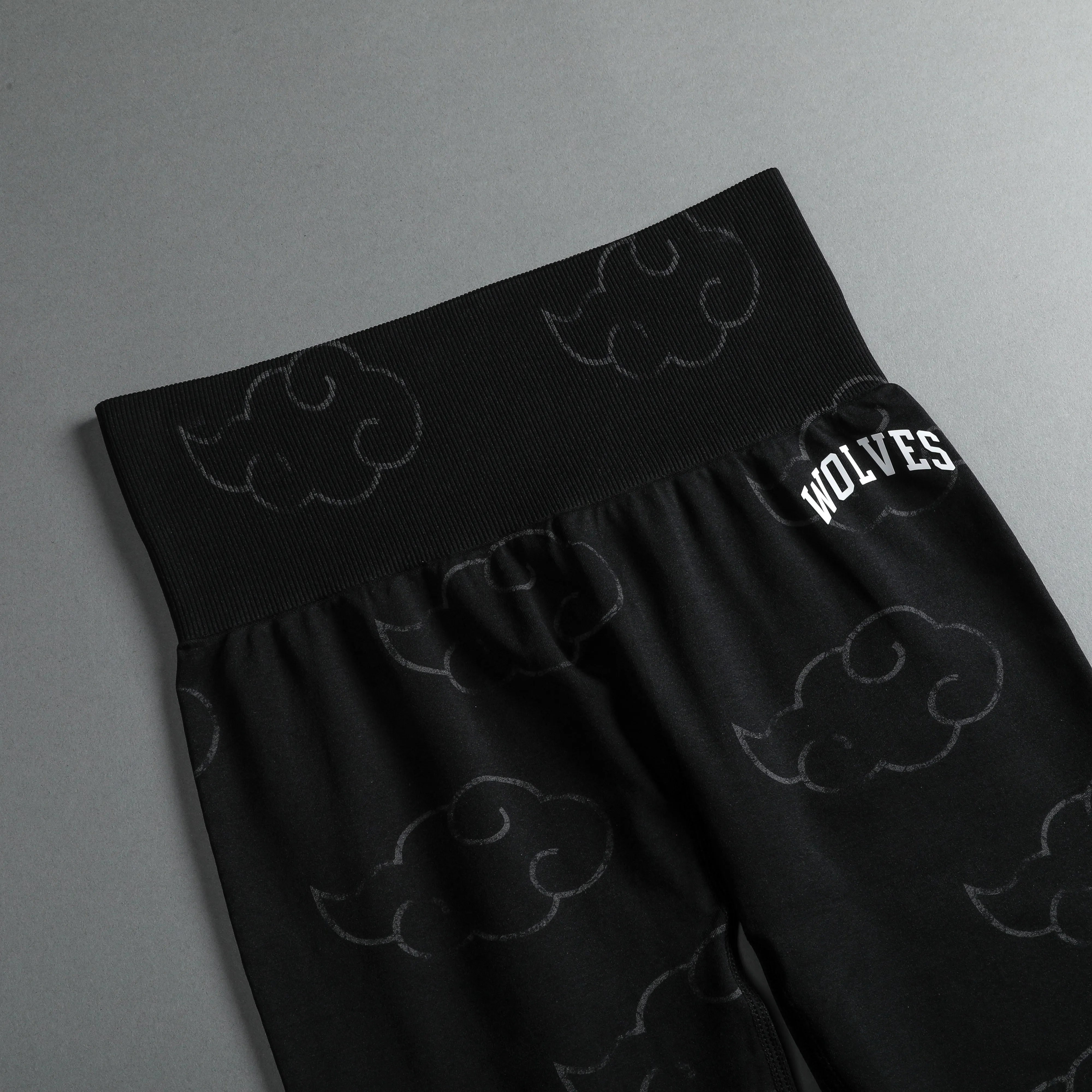 Wolf Cloud Loyalty "Everson Seamless" Leggings in Black