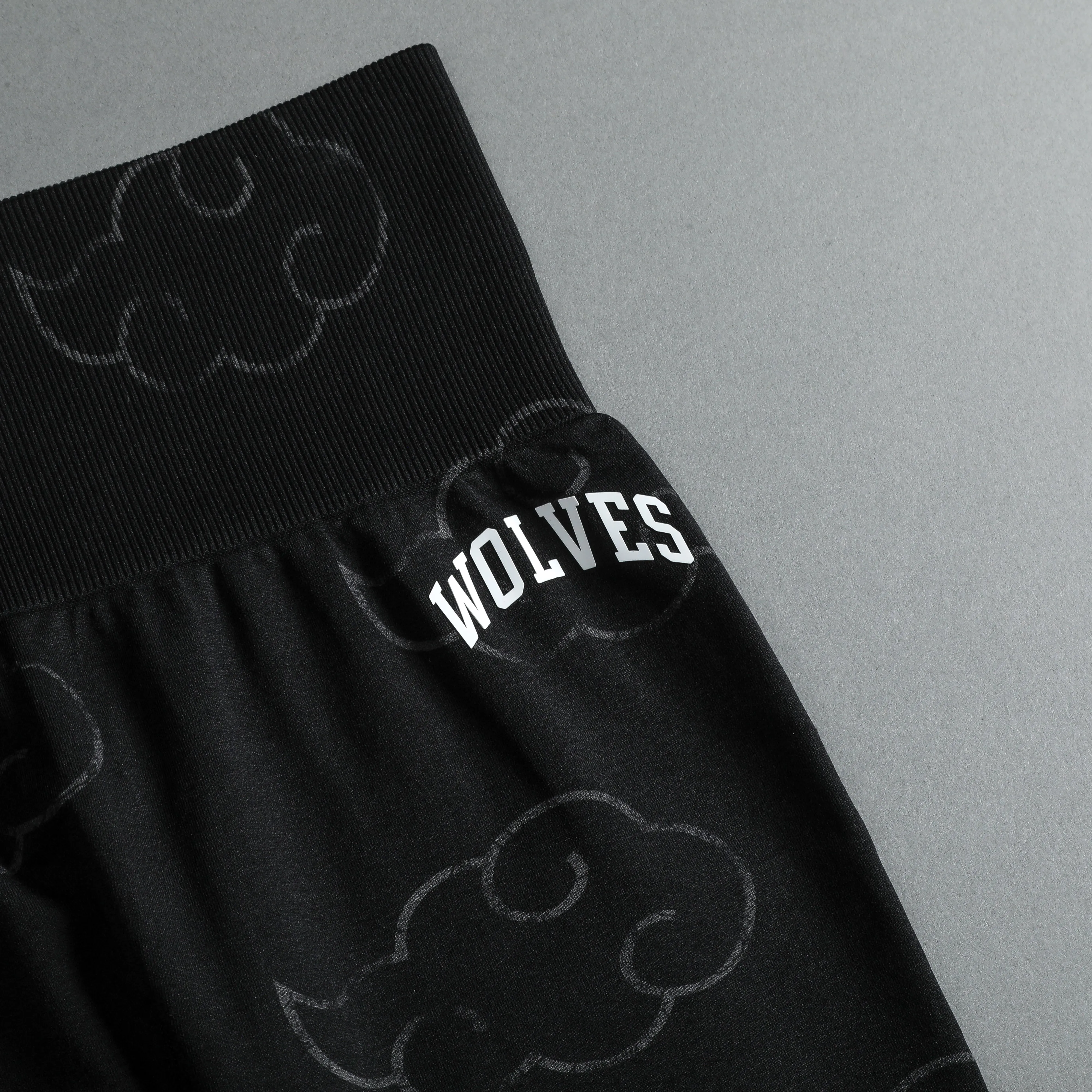 Wolf Cloud Loyalty "Everson Seamless" Leggings in Black